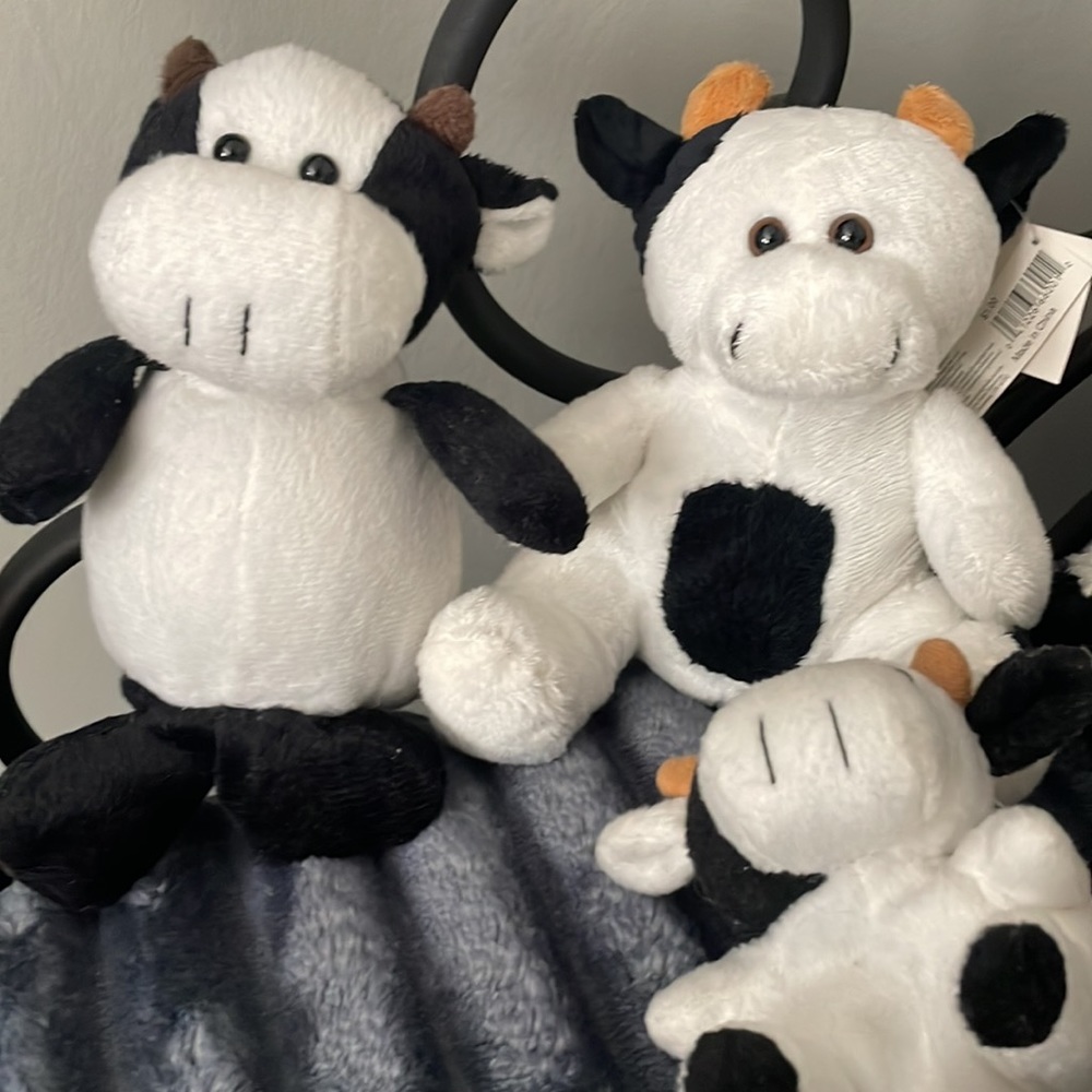 Cute Cow Collection - Picture 2 of 6